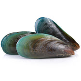 Green-Lipped Mussel