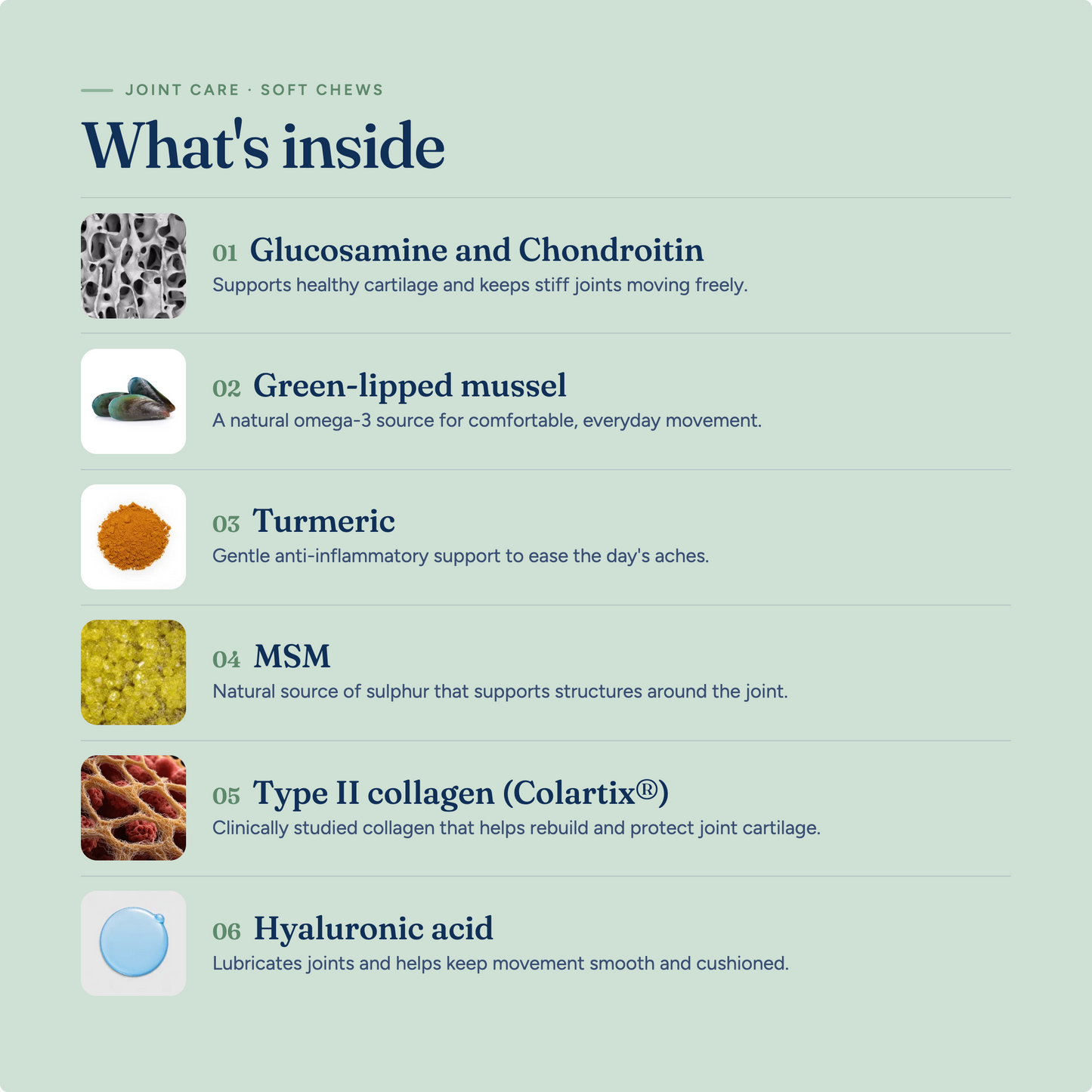 Joint Care Mobility Chews for Dogs