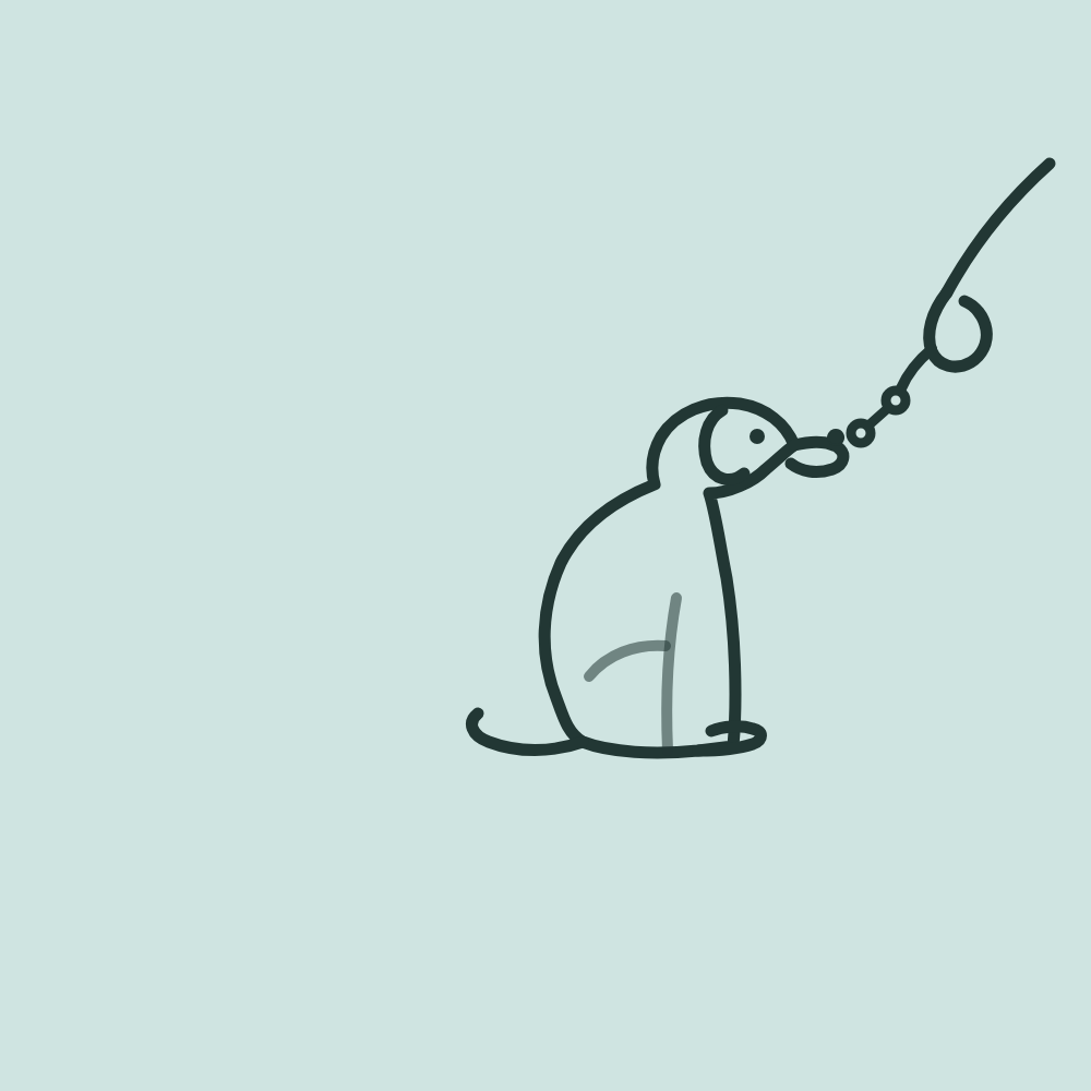 Tailkind Was Born